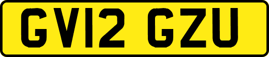 GV12GZU