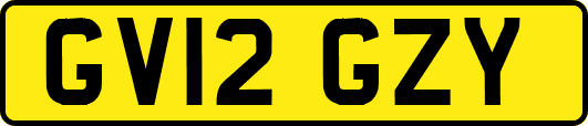 GV12GZY