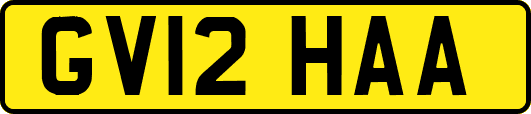 GV12HAA