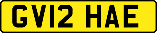GV12HAE