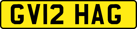 GV12HAG