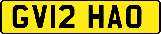 GV12HAO