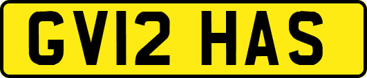 GV12HAS