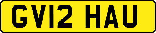 GV12HAU