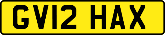 GV12HAX