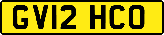 GV12HCO