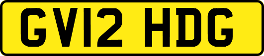 GV12HDG