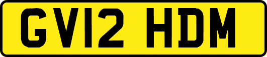 GV12HDM