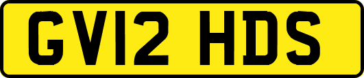 GV12HDS