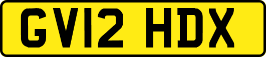 GV12HDX