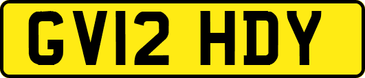 GV12HDY