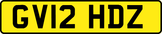 GV12HDZ