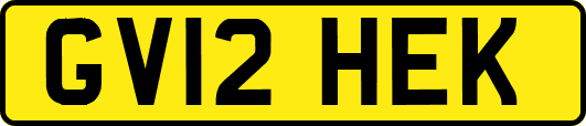 GV12HEK