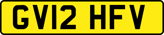 GV12HFV