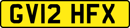 GV12HFX