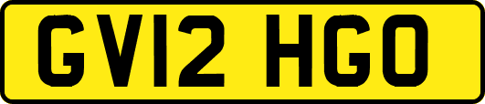 GV12HGO
