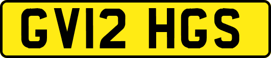 GV12HGS