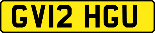 GV12HGU
