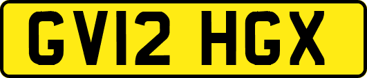 GV12HGX