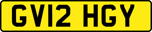 GV12HGY