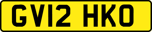 GV12HKO
