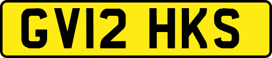 GV12HKS