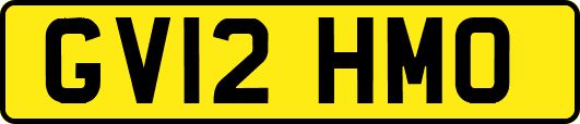 GV12HMO