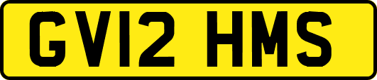 GV12HMS