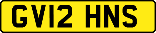 GV12HNS