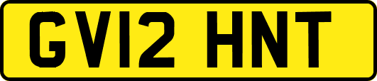 GV12HNT