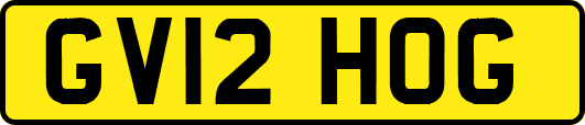 GV12HOG