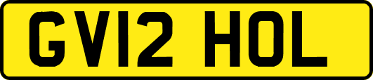 GV12HOL