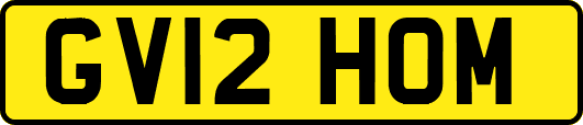 GV12HOM