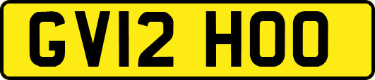 GV12HOO