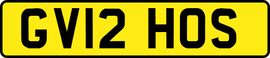 GV12HOS