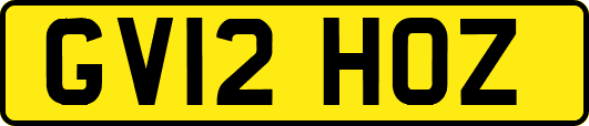 GV12HOZ