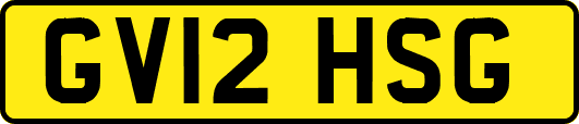 GV12HSG