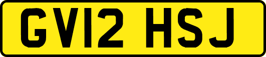 GV12HSJ