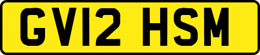 GV12HSM