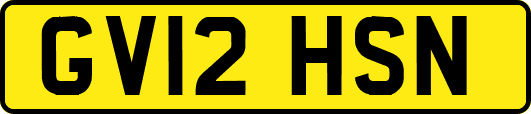 GV12HSN