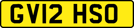 GV12HSO