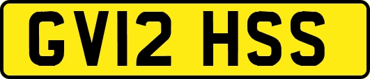 GV12HSS