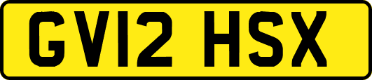 GV12HSX