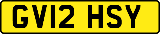 GV12HSY