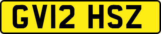 GV12HSZ