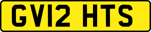 GV12HTS