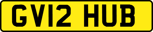GV12HUB