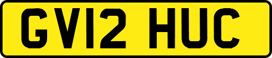 GV12HUC