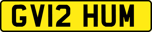 GV12HUM