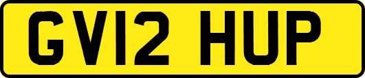 GV12HUP